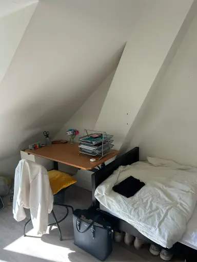 12m2 Chambre à louer pour 629€/mois à Wassenaarseweg, The Hague