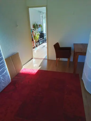 11m2 room to rent for 450€/month in Thorbeckestraat, Wageningen