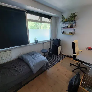 12m2 Camera in affitto per 450€/mese a Bosboom-Toussaintplein, Delft