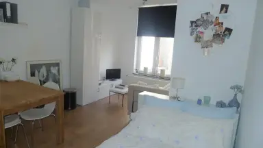 23m2 studio te huur voor 575.15€/maand in Brusselsestraat, Maastricht