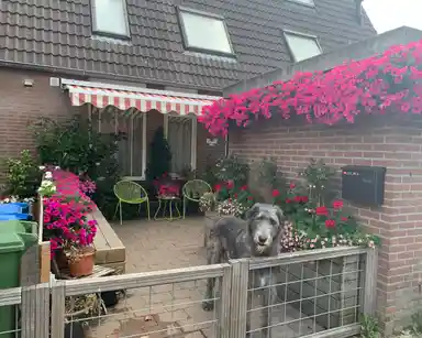 14m2 Chambre à louer pour 550€/mois à Heeskesacker, Nijmegen