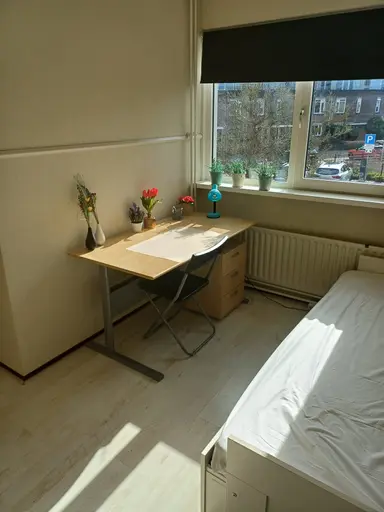 16m2 room to rent for 975€/month in Judith Leijsterstraat, Lisse
