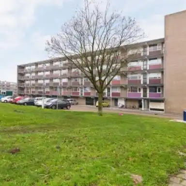 73m2 Appartamento in affitto per 860€/mese a Johan van de Veldestraat 15, 's-Hertogenbosch