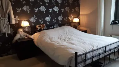 16m2 Chambre à louer pour 975€/mois à Bijlmerdreef, Amsterdam