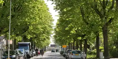 16m2 Kamer te huur voor 625€/maand in Van Oldenbarneveldtstraat 52, Arnhem
