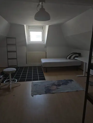 20m2 Camera in affitto per 800€/mese a Pieter de Raadtstraat, Rotterdam