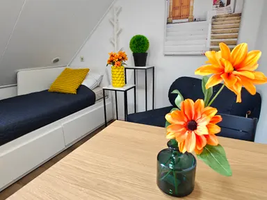 17m2 Chambre à louer pour 1400€/mois à Ringbaan-Oost, Tilburg