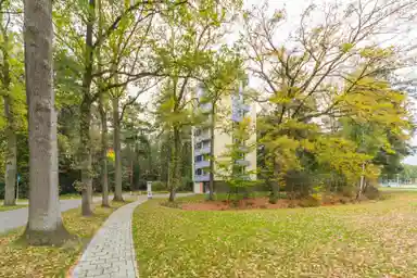 26m2 Appartamento in affitto per 332.83€/mese a Campuslaan 24, Enschede