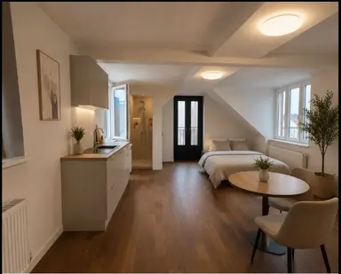 20μ² στούντιο προς ενοικίαση για 818€/μήνα σε Antoniuslaan, Venlo