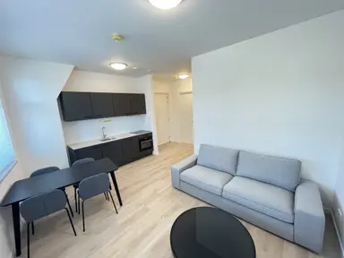 45m2 apartment to rent for 2225€/month in Jansweg, Haarlem