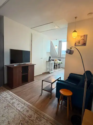34m2 monolocale in affitto per 1100€/mese a Friedhoffplantsoen, Delft