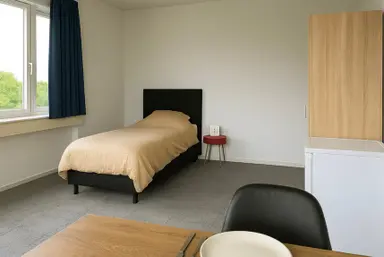 15m2 room to rent for 590€/month in Volmerlaan 20, Rijswijk