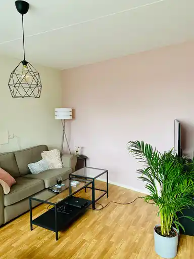 30m2 studio to rent for 703€/month in Pius XII straat, Wijchen