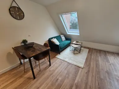 20μ² στούντιο προς ενοικίαση για 1495€/μήνα σε Hondsrug 184, Utrecht