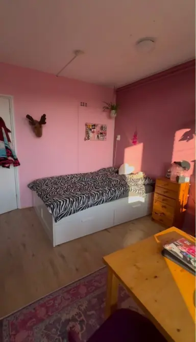 13μ² Δωμάτιο προς ενοικίαση για 523€/μήνα σε Groningen