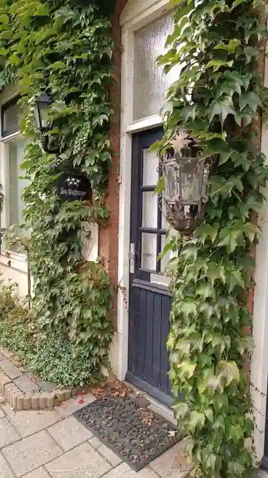 8m2 Zimmer zur Miete für 650€/Monat in Zuiderstraat, Helmond