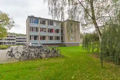 13m2 room to rent for 299.57€/month in Calslaan 9-401, Enschede