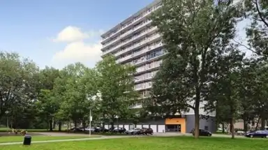 65m2 Appartement te huur voor 850€/maand in Elviraland 12, The Hague