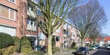 61m2 apartment to rent for 1050€/month in Beverlaan 14, Hilversum