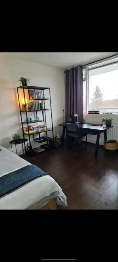 11m2 room to rent for 455€/month in Zijldonk, Leiden