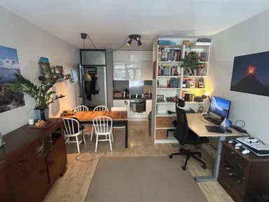 46m2 apartment to rent for 1000€/month in 2e Van Blankenburgstraat, The Hague