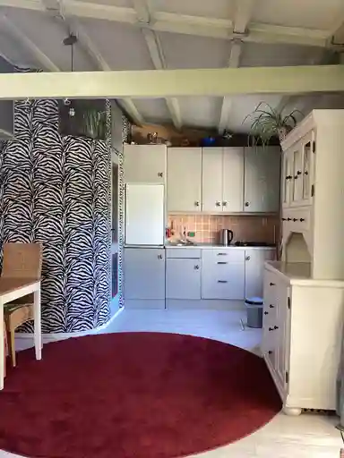 34m2 studio à louer pour 980€/mois à Westvlietweg, The Hague