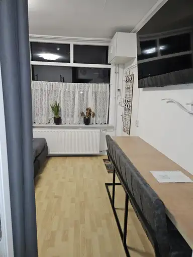 30m2 studio to rent for 1899€/month in Zandvoortselaan, Bentveld