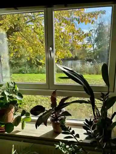 100m2 Appartement te huur voor 1104€/maand in Heesterveld, Amsterdam