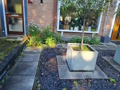 16m2 room to rent for 500€/month in Kwikstraat, Apeldoorn