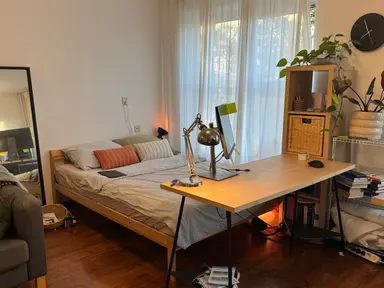 40m2 studio à louer pour 800€/mois à Korvezeestraat, Delft
