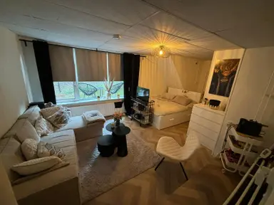 28μ² Δωμάτιο προς ενοικίαση για 800€/μήνα σε Lange Mare, Leiden