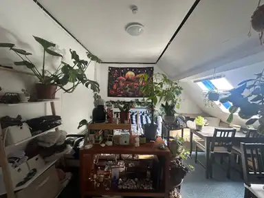 14.6m2 room to rent for 310€/month in Gijzenrooi, Geldrop