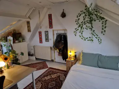 18m2 Zimmer zur Miete für 715€/Monat in Semmelinkstraat, Nijmegen