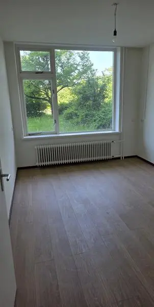 50m2 apartment to rent for 650€/month in Bronbeeklaan, Arnhem