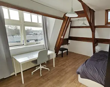 15m2 room to rent for 490€/month in Nachtegaalstraat, Utrecht