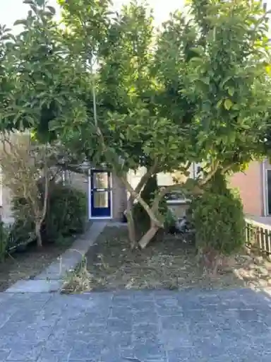65m2 huis te huur voor 760€/maand in Nederveldstraat 13, Abbenes