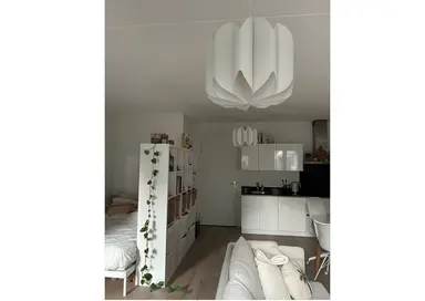 42m2 apartment to rent for 1125€/month in Oostende 217, Helmond