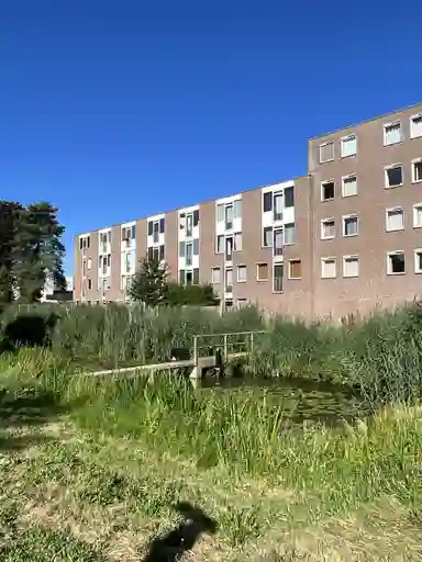 41m2 Appartamento in affitto per 550.34€/mese a Kooikersweg 216, 's-Hertogenbosch