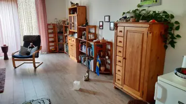100m2 Appartamento in affitto per 900€/mese a Hof van Bernardus, Ulicoten