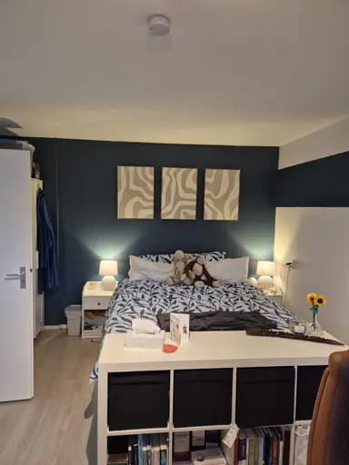 20m2 Kamer te huur voor 495€/maand in Karel van de Woestijnestraat, Hengelo