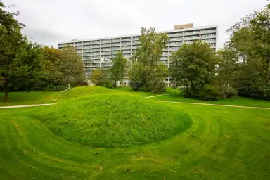 53m2 Wohnung zur Miete für 890€/Monat in Palestrinalaan 619, Zwolle