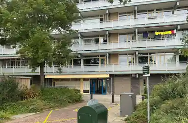 m2 flat te huur voor 869.55€/maand in Jan van Goyenstraat 16, Meppel