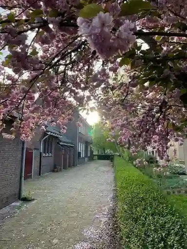 60m2 Appartement te huur voor 1695€/maand in Oranjeboomstraat, Breda