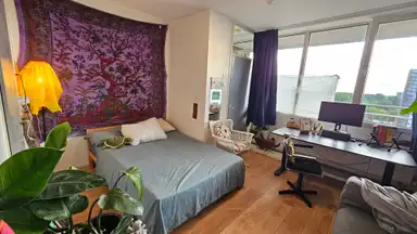 15m2 studio à louer pour 440€/mois à Roland Holstlaan, Delft