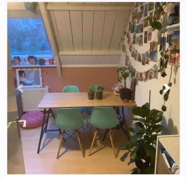 14m2 room to rent for 360€/month in Groningen