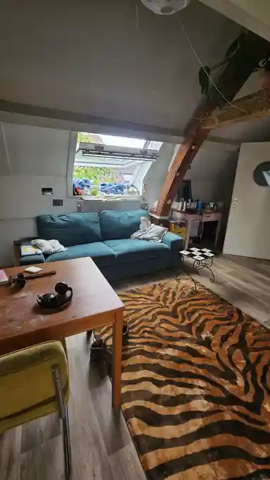 35m2 room to rent for 515€/month in 's-Hertogenbosch