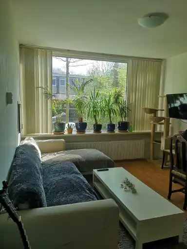 16m2 Chambre à louer pour 500€/mois à Loderstraat, Rotterdam