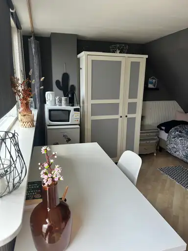 16μ² στούντιο προς ενοικίαση για 650€/μήνα σε Voorzorgstraat, Haarlem
