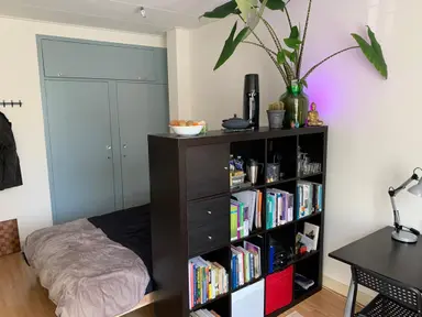 19m2 Chambre à louer pour 750€/mois à Krekelstraat, Rotterdam