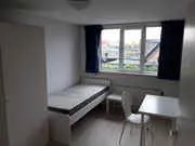 14m2 room to rent for 750€/month in Rijnstraat, Amersfoort